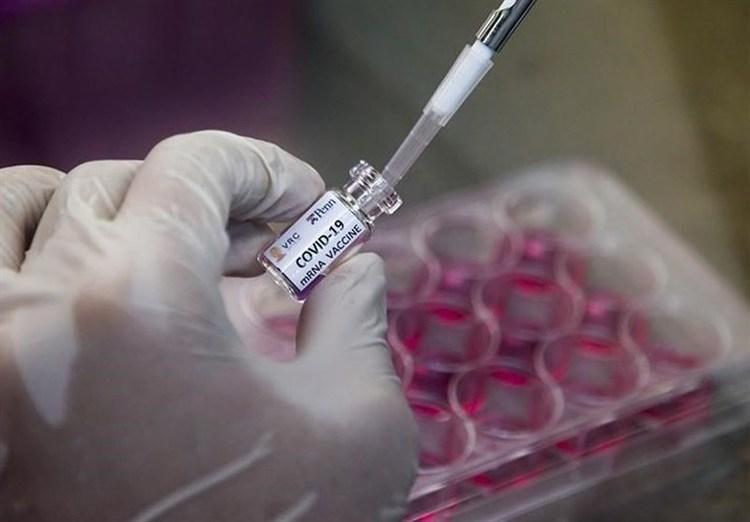 امید به یافتن واکسن کرونا تا انتها امسال