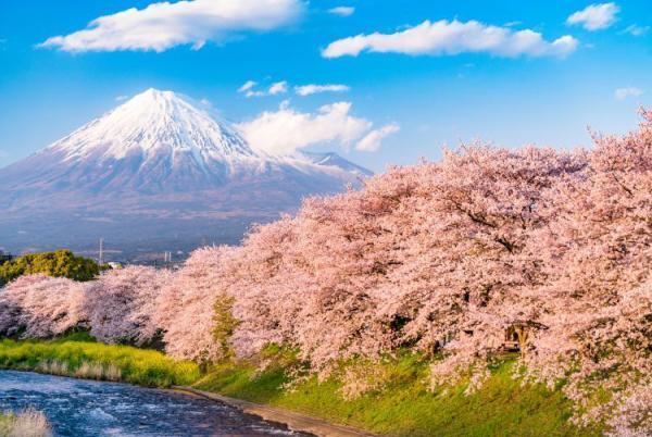 آشنایی با آب و هوای ژاپن و بهترین زمان سفر به این کشور آشنایی با آب و هوای ژاپن و بهترین زمان سفر به این کشور