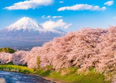 آشنایی با آب و هوای ژاپن و بهترین زمان سفر به این کشور